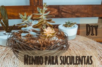 DIY: NINHO DE ARAME PARA SUCULENTAS - Faça você mesmo