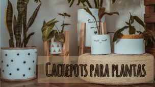 DIY: CACHEPOTS PARA SUAS PLANTAS - Lindos e baratinhos!