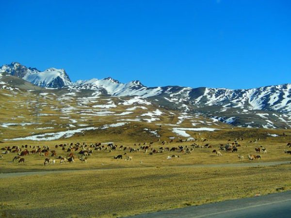 Estrada 'mais perigosa do mundo' é atração turística na Bolívia - Blog o que fazer