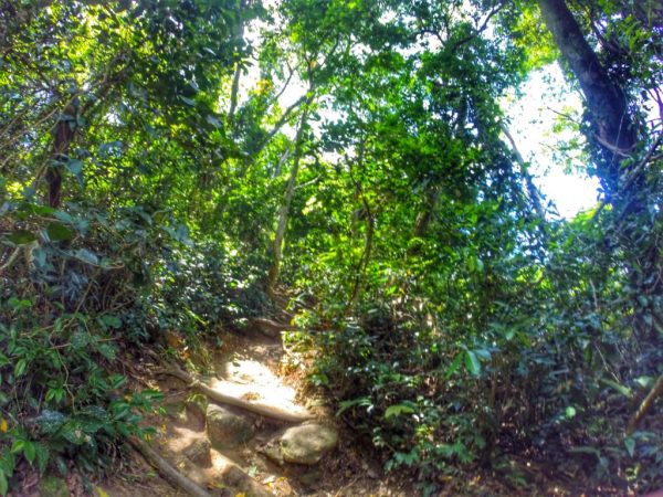 Como sobreviver a Trilha da Pedra da Gávea – Passo a passo - Rio de Janeiro