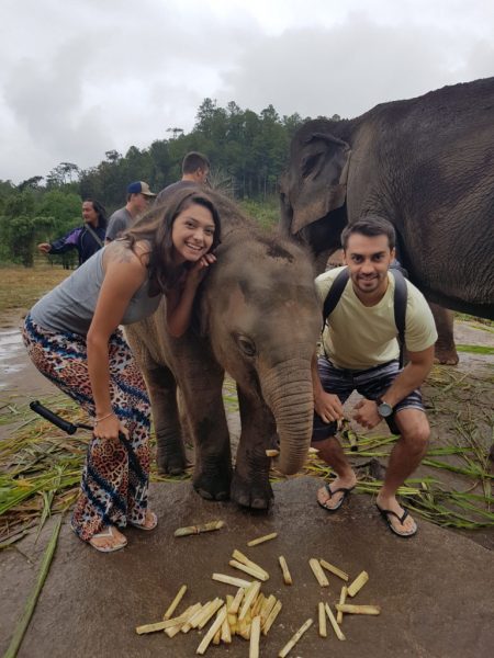 Elefantes Tailândia - Chiang Mai