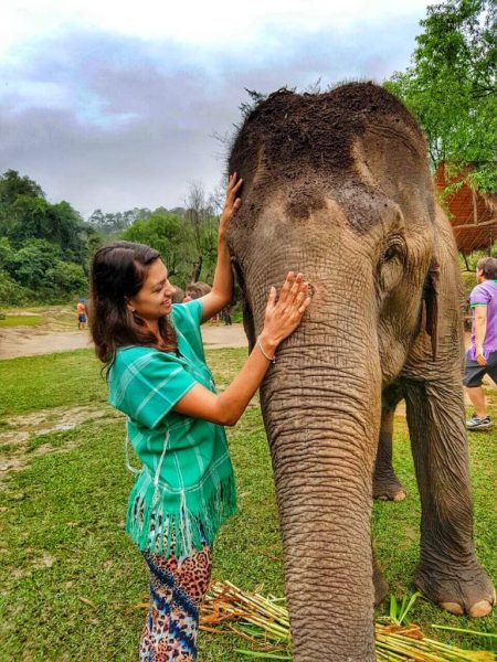 Elefantes Tailândia - Chiang Mai