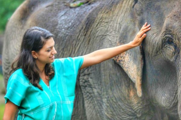 Elefantes Tailândia - Chiang Mai