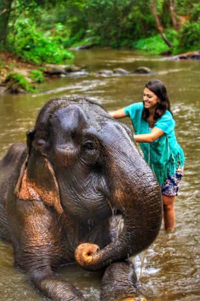 Elefantes Tailândia - Chiang Mai