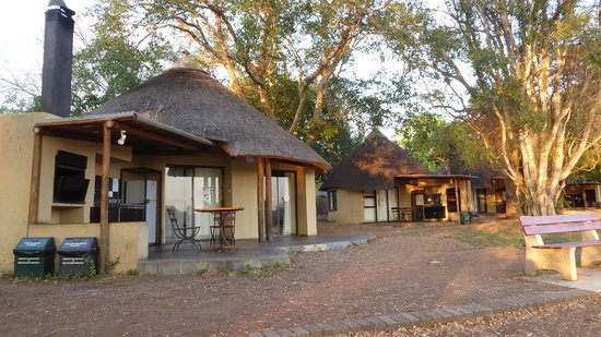 Kruger Park: Como fazer um safári na África por conta própria